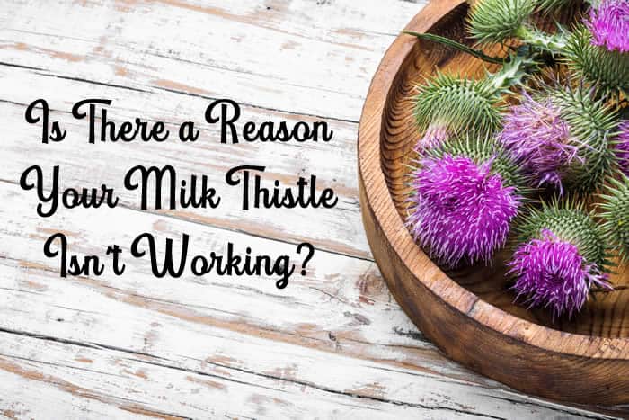 Why Isn’t Your Milk Thistle Working? Learn About Phytosomes