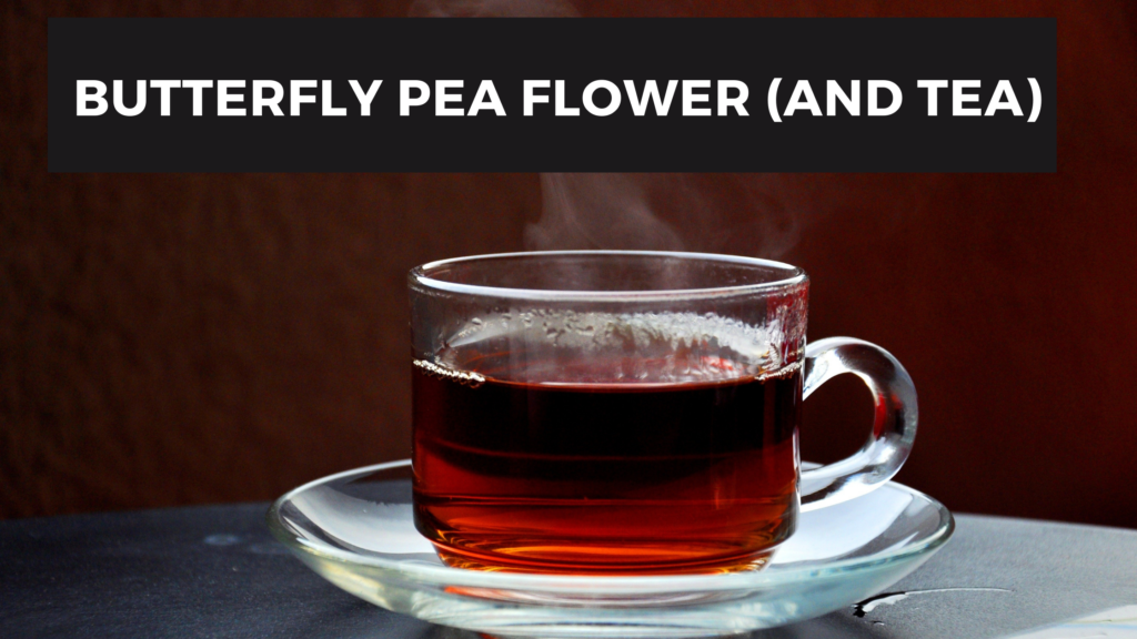 Butterfly Pea Flower (Benefits, Side Effects & Blue Tea)
